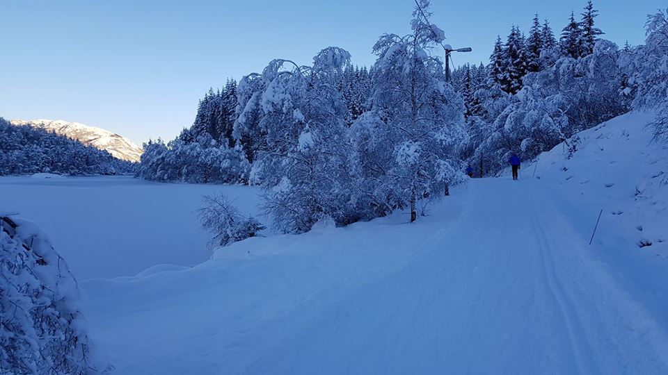 brekko_langrenn_ 2017.jpg