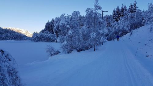 brekko_langrenn_ 2017.jpg